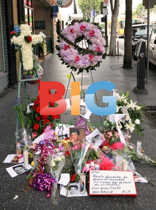 Elizabeth Taylor's Hollywood Star