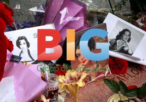 Elizabeth Taylor's Hollywood Star