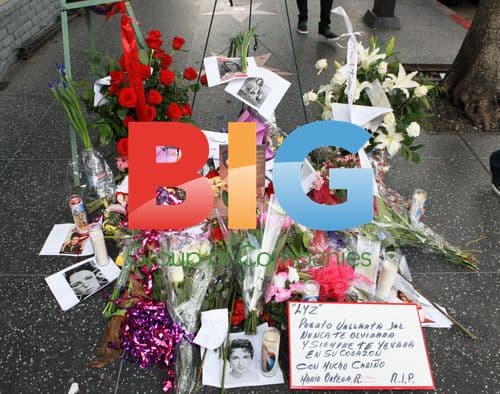 Elizabeth Taylor's Hollywood Star