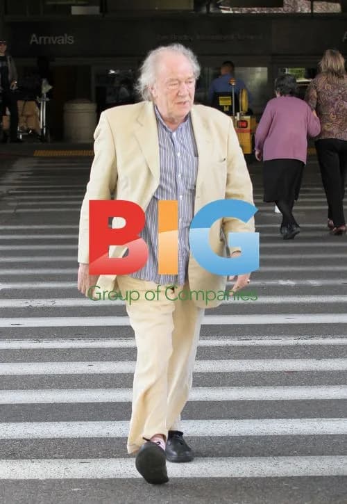 Michael Gambon Arriving at LAX in Linen Suit