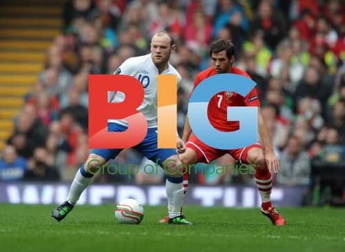 Wayne Rooney and Joe Ledley