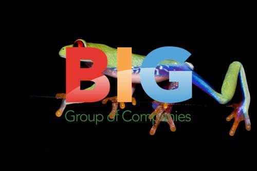 Frog Photo Captures Unique Perspective