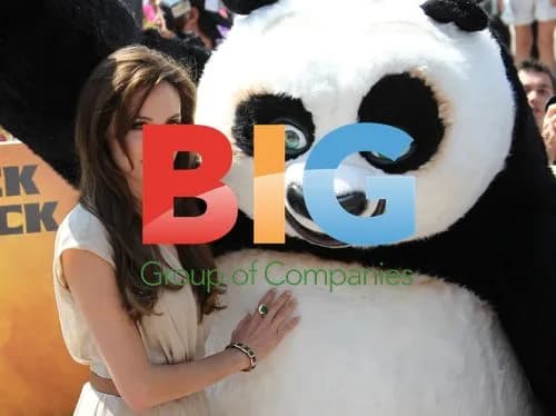 Angelina Jolie at 'Kung Fu Panda 2' Photocall
