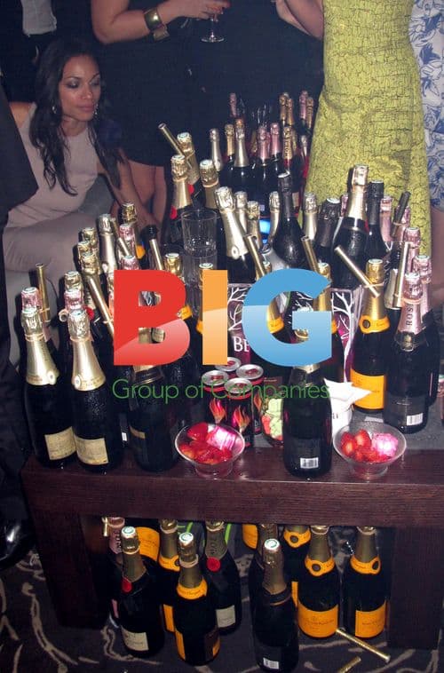 David Guetta 'F*** Me I am Famous' Party