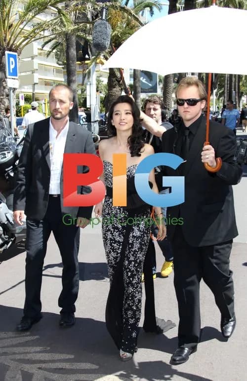 Fan Bing Bing at Cannes