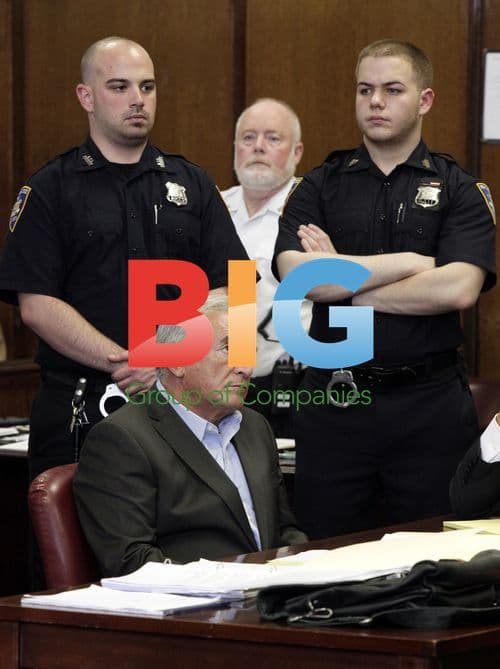 Dominique Strauss-Kahn in court