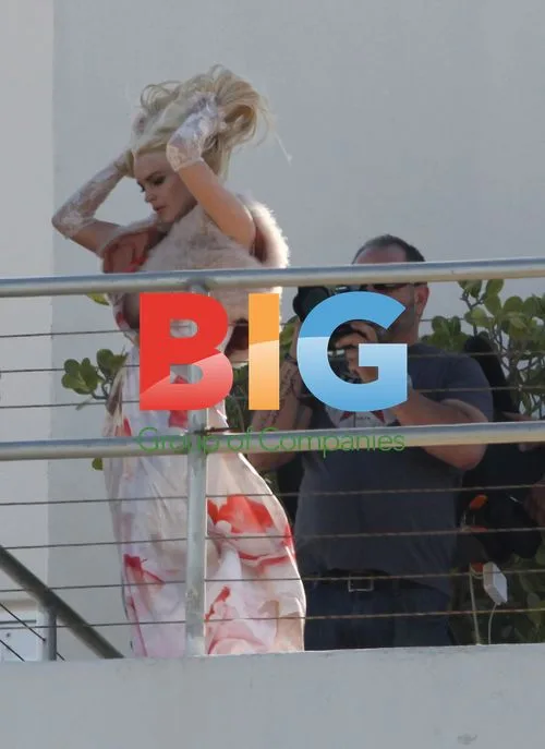 Lindsay Lohan Poses for Miami Commercial