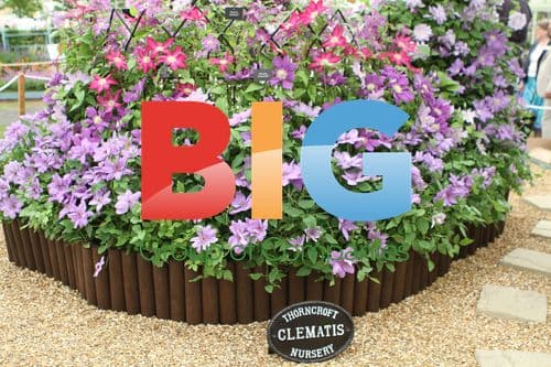 Chelsea Flower Show 2011