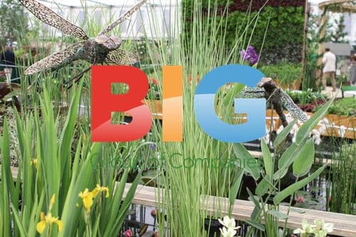 Chelsea Flower Show 2011