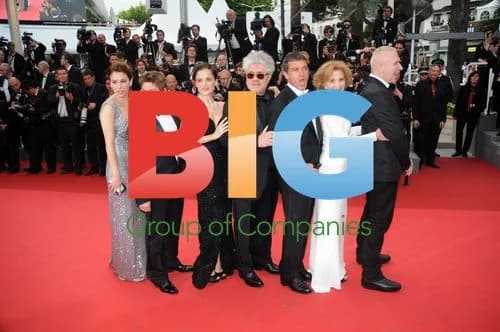 Cannes 2011 Premiere of 'The Skin I Live In'