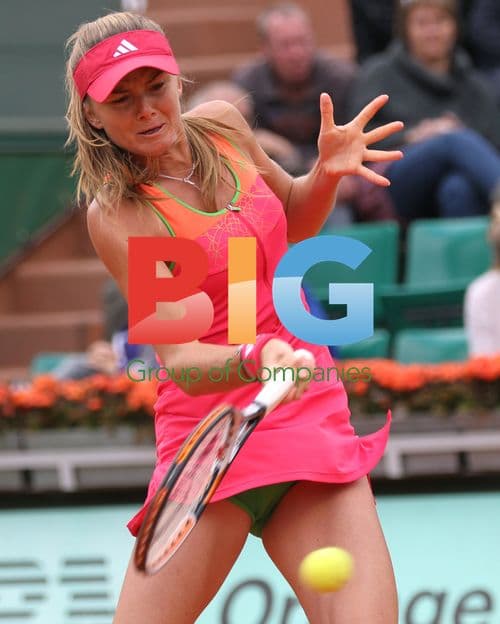 Daniela Hantuchova hits shot at French Open