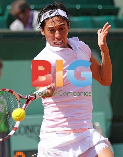 Francesca Schiavone at French Open