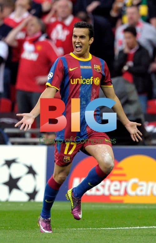 UEFA Champions League Final 2010/11