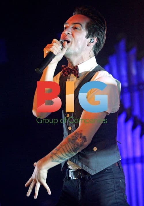 Panic at the Disco Performs in Florida