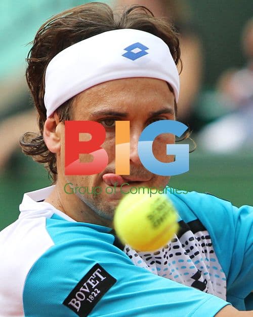 David Ferrer at French Open 2011