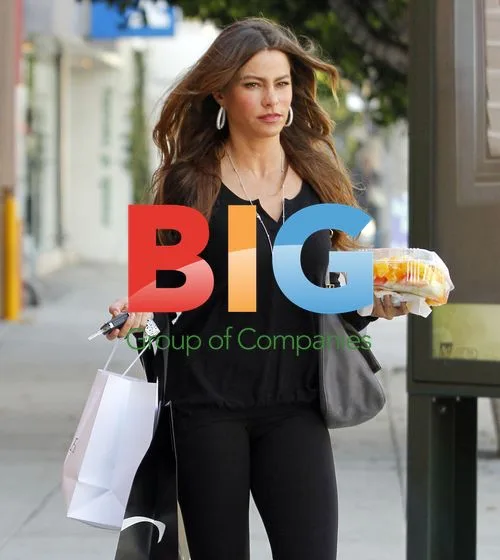 Sofia Vergara Out Shopping in LA