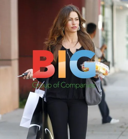 Sofia Vergara Shopping in LA