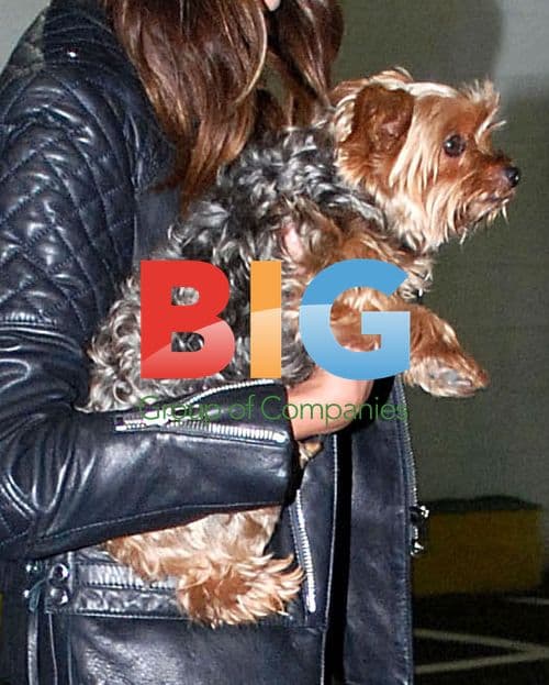 Miranda Kerr with Dog in Manhattan