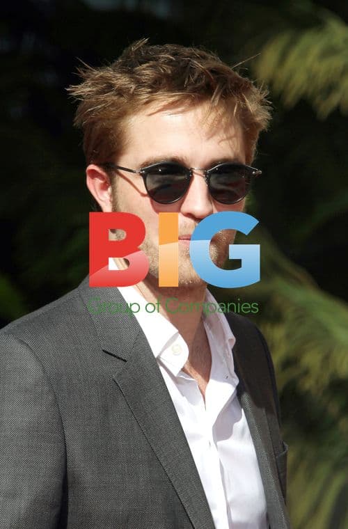 Twilight Cast at Grauman's