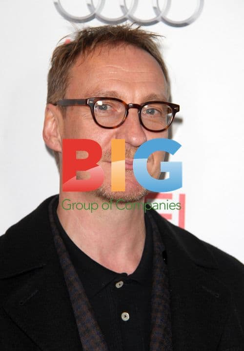 David Thewlis at 'The Lady' Screening