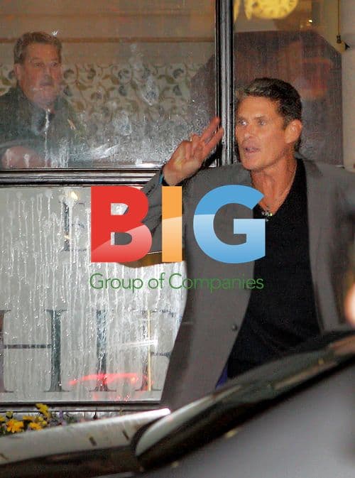 David Hasselhoff Spotted by Fan