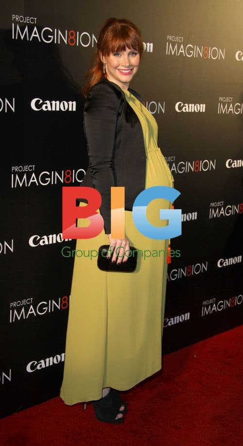 Bryce Dallas Howard at 'When You Find Me' Premiere