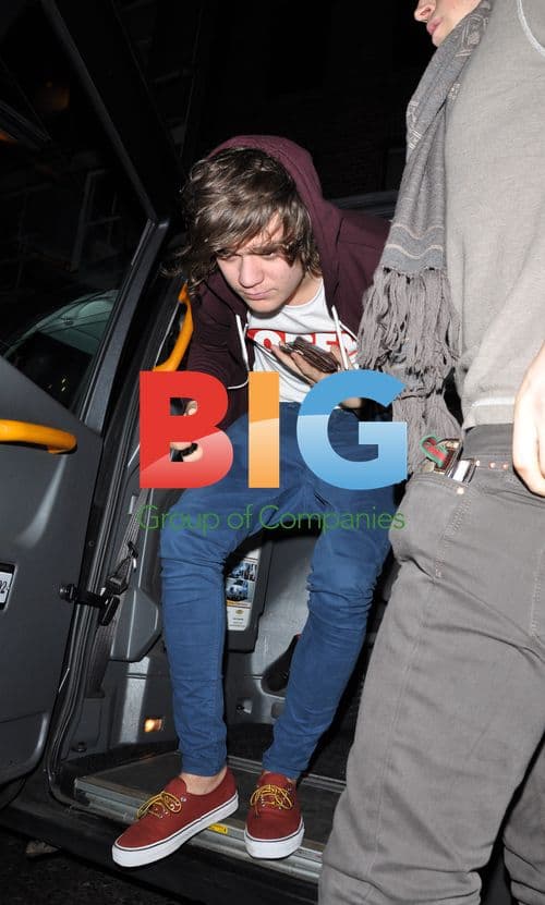 Frankie Cocozza at Shrek the Musical