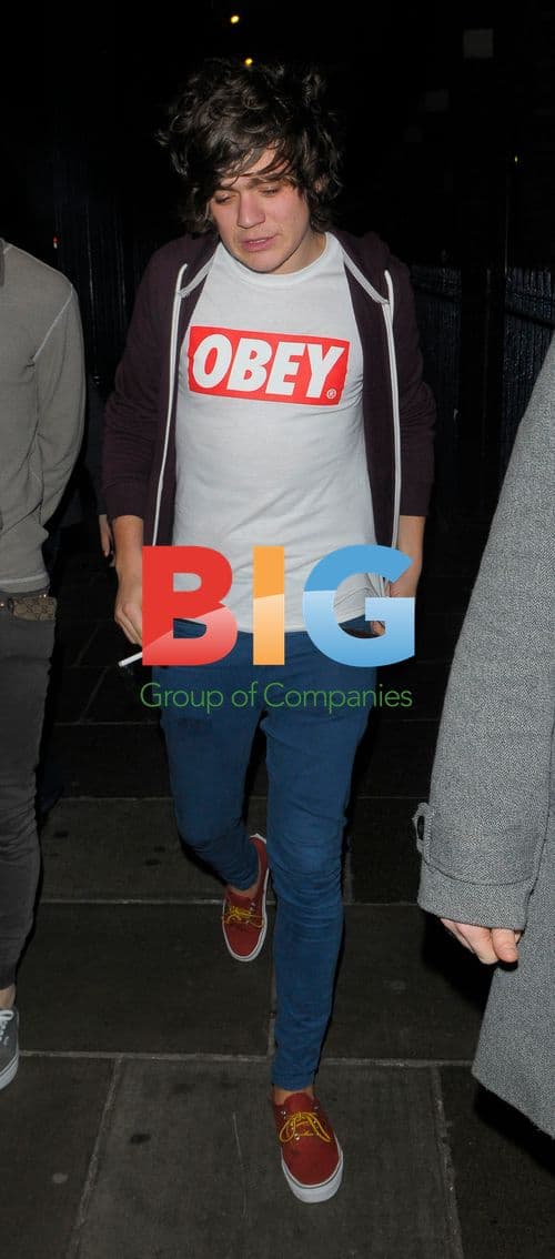 Frankie Cocozza at Shrek musical