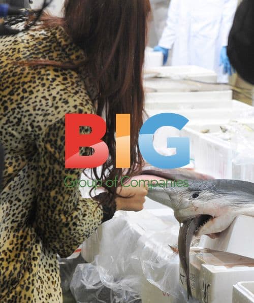Amy Childs and Aldo Zilli at Billingsgate Fish Market