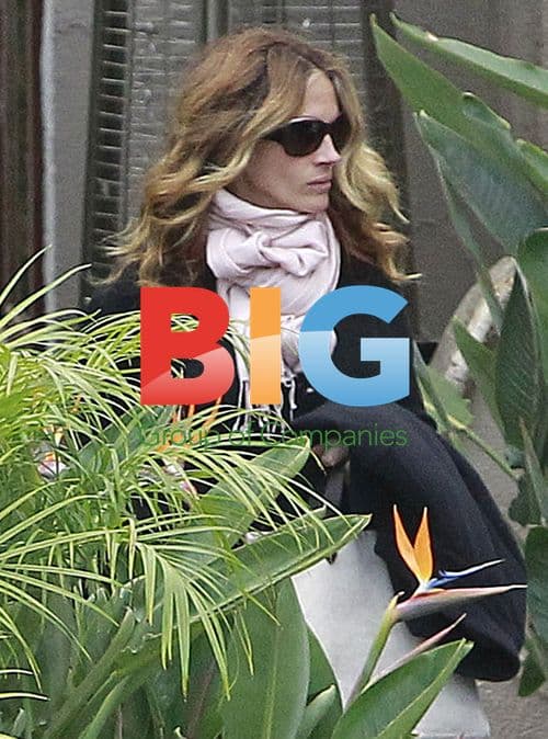 Julia Roberts Dining Out in Malibu