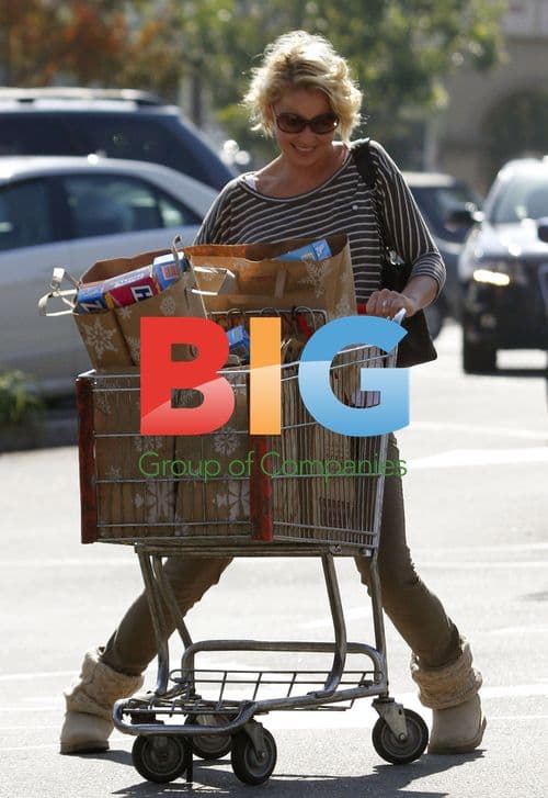 Katherine Heigl and husband grocery shopping