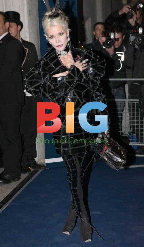 Daphne Guinness at British Fashion Awards 2011