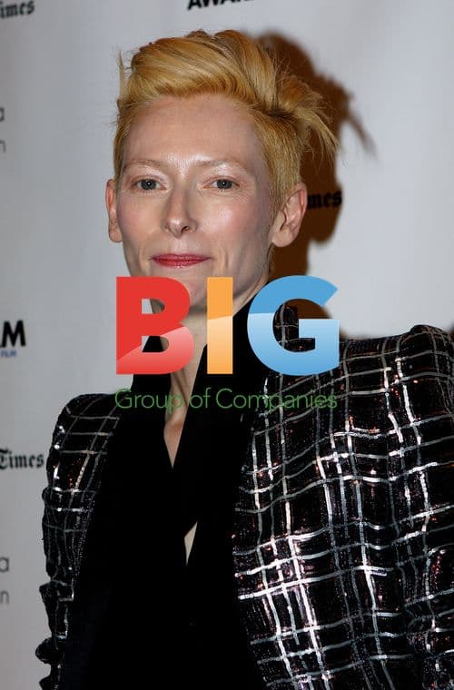 Tilda Swinton at IFP's Gotham Awards