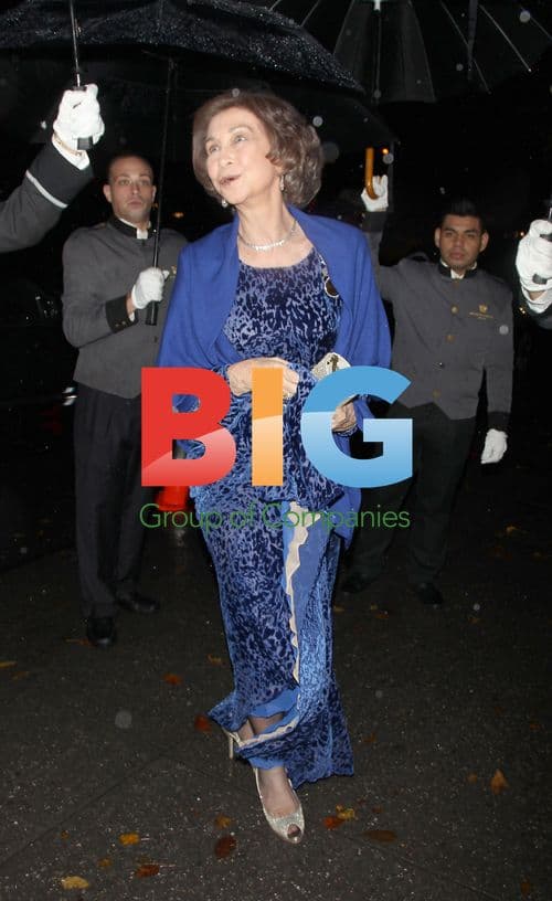 Queen Sofia of Spain at 2011 Gala