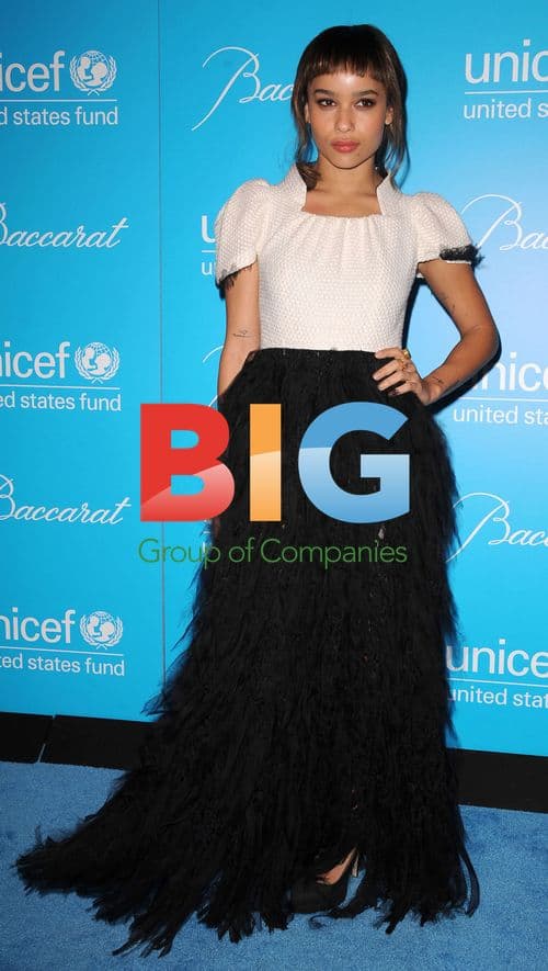 Zoe Kravitz at 2011 UNICEF Snowflake Ball