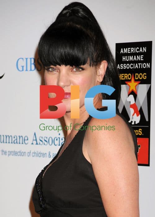 Pauley Perrette at Hero Dog Awards