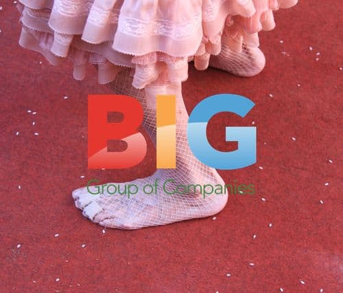 The Extravagant Duchess of Alba's Wedding