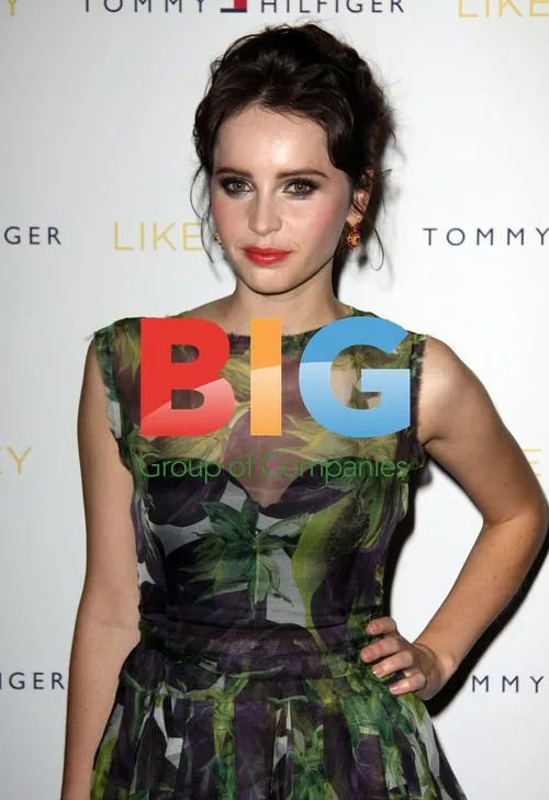 Felicity Jones at 'Like Crazy' Premiere