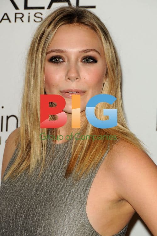 Elizabeth Olsen at ELLE Women in Hollywood Tribute