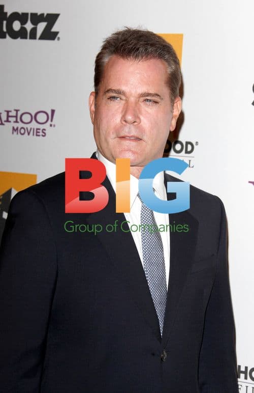 Ray Liotta at Hollywood Film Awards Gala
