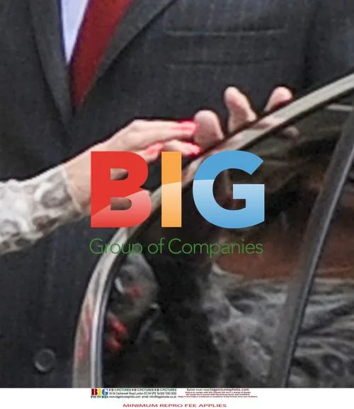 Katie Price Intimate Moment with Chauffeur