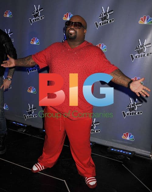 Cee-Lo Green at 'The Voice' press junket