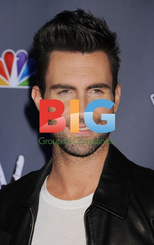 Adam Levine at 'The Voice' press junket