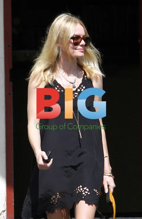 Kate Bosworth Takes Dog to Pet Medical Center