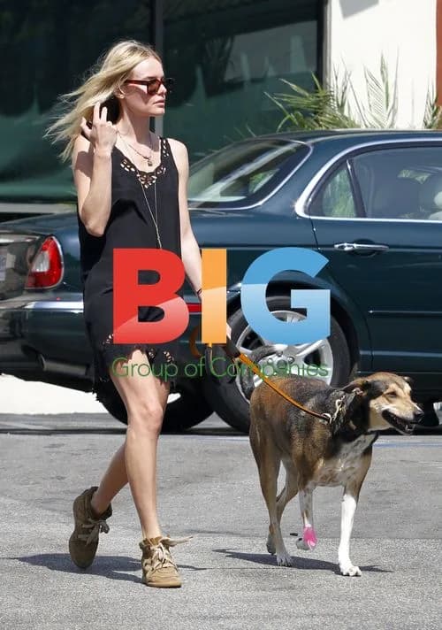 Kate Bosworth takes dog to vet