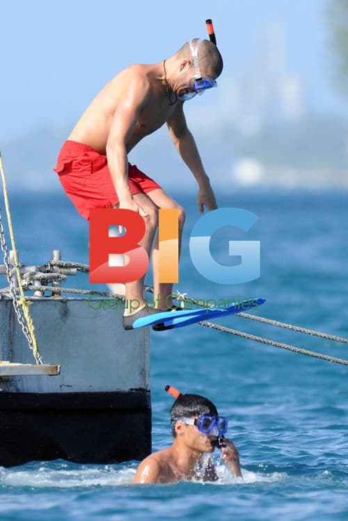 The Wanted Members Go Swimming with Turtles