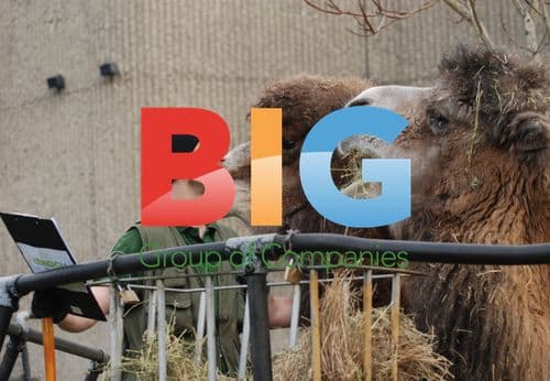 Annual Stocktake at London Zoo