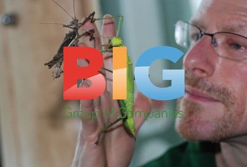 London Zoo Animal Stocktake