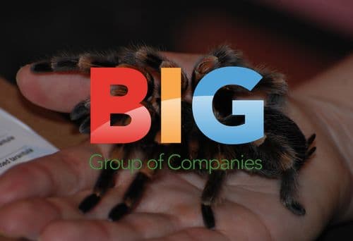 London Zoo Animal Stocktake