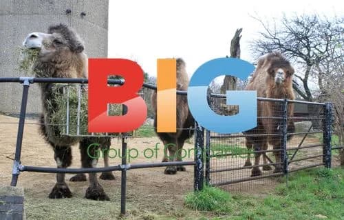 London Zoo Annual Stocktake